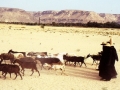 Donne dell'Hadramaut