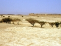 Vista di Baraqish