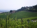 Colline toscane