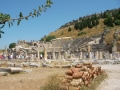 L'Odeon a Efeso