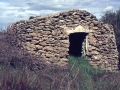 ''Pajaro'' in Puglia