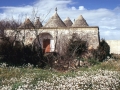 Trulli della Valle d'Itria