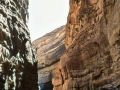 Canyon dorato