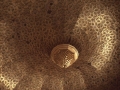 Decorazioni in Tunisia