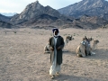 Deserto del Sinai