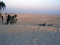 Dune del Sahara
