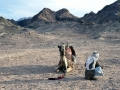 Sinai