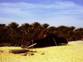 Tenda Tuareg