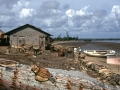 Isola di Robinson