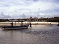 Mayungo