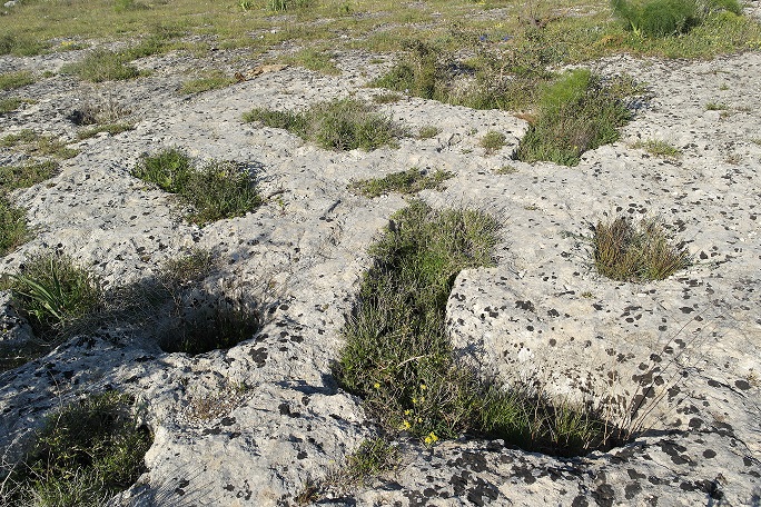 Buche per le palificazioni e sepolture