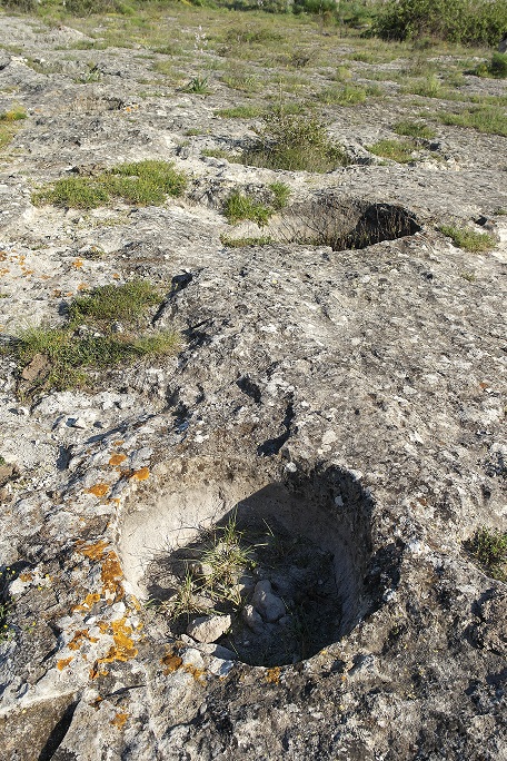 Cisterne di decantazione dell'acqua piovana