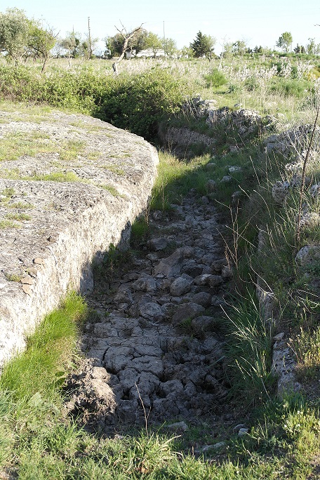 Grande fossato che marca il perimetro dell'insediamento neolitico