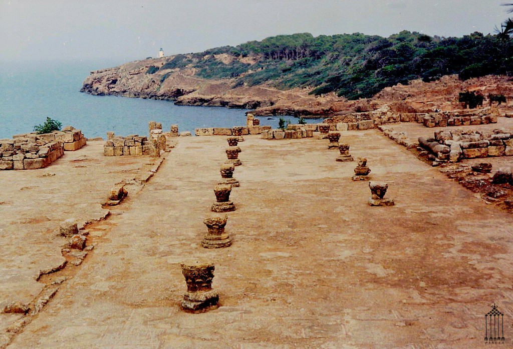 La grande basilica orientale del IV secolo. E' il più grande edificio cristiano scavato in Algeria