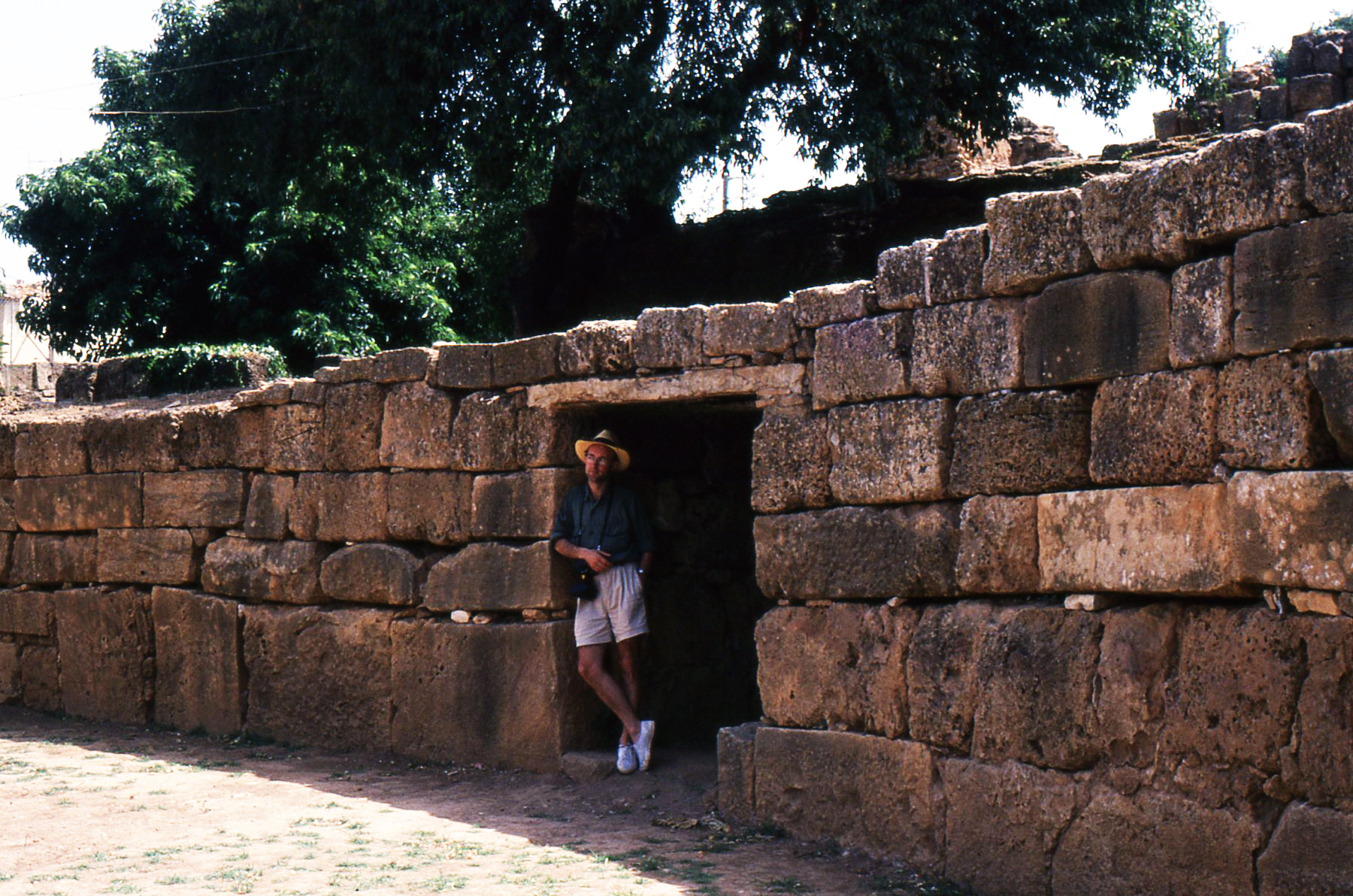 L'interno dell'Anfiteatro di Tipasa