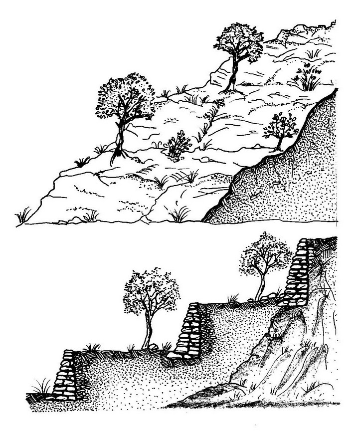 Schema della costruzione di un terrazzamento