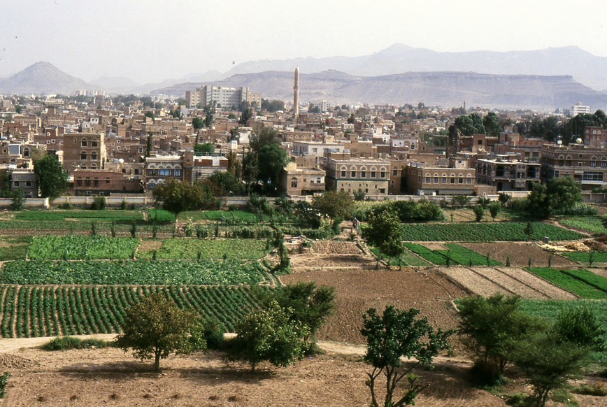 Orti e coltivazioni intorno alla città di Sana'a