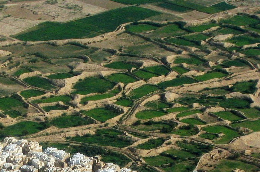 Giardini nelle depressioni di sabbia di Shibam