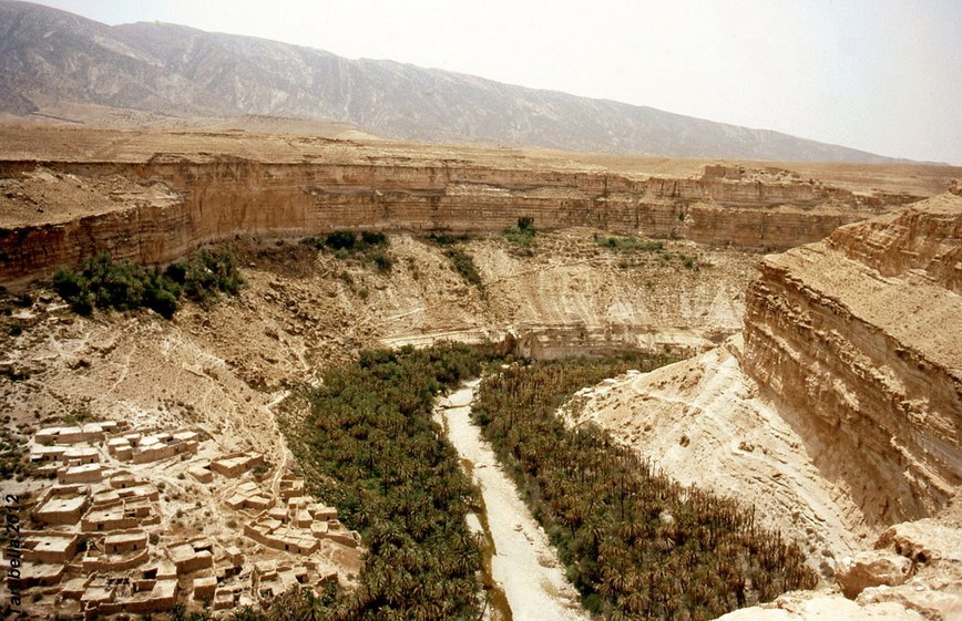 Coltivazioni sulle sponde dell'oued