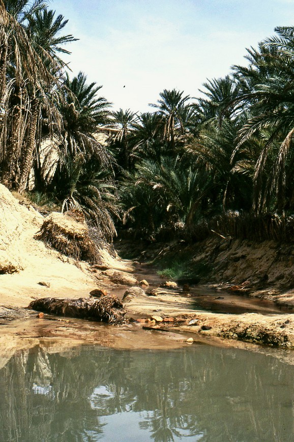 Bacino di stoccaggio dell'acqua