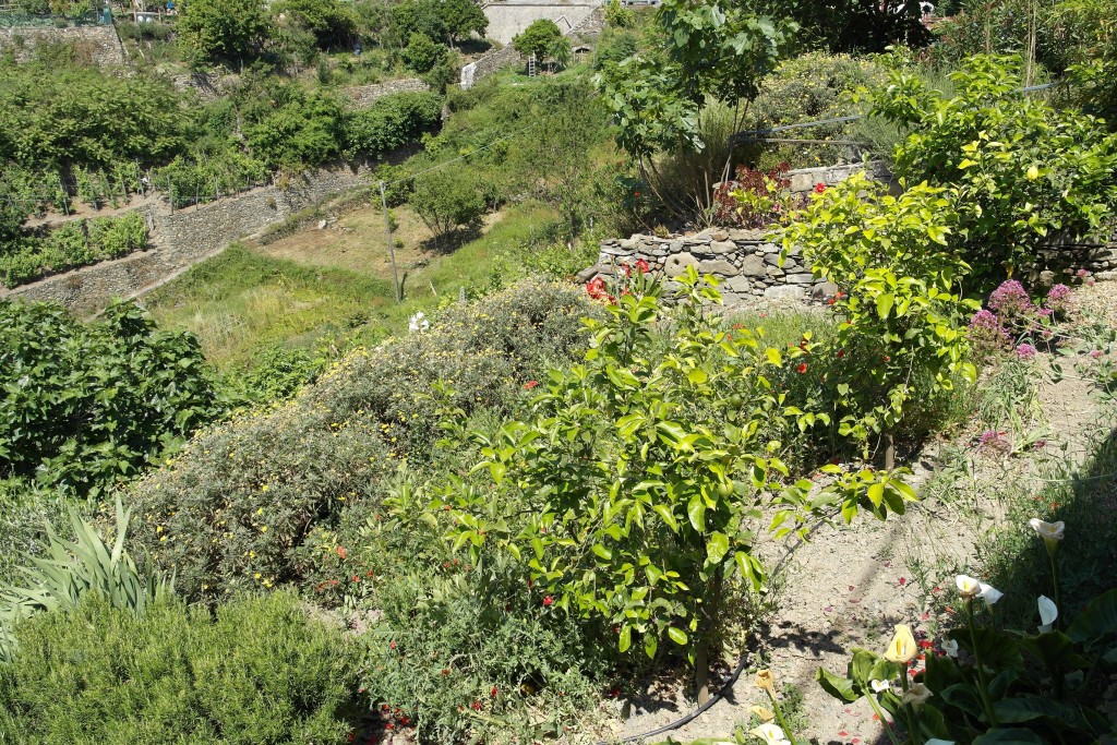 Giardino pensile con limonaia