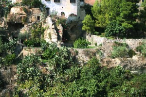 Gravina di Massafra (Puglia) Le sponde della gravina sono organizzate in terrazzi artificiali coltivati