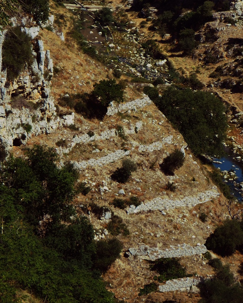 Nel Sasso Barisano i gradoni sul pendio sottostante la chiesa di S.Agostino testimoniano la trama matrice a terrazzi, artificialmente realizzati con muri di sostegno