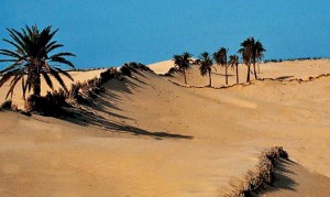 Dune artificiali nel Sahara