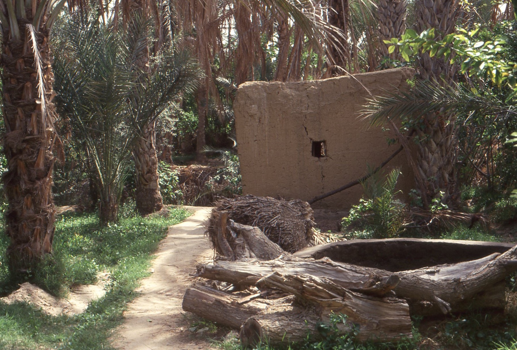 Nell'oasi, la trama del territorio, l'orientamento delle abitazioni e dei villaggi, l'organizzazione dei giardini sono parte di una sfera di segni in cui tutte le cose hanno un senso