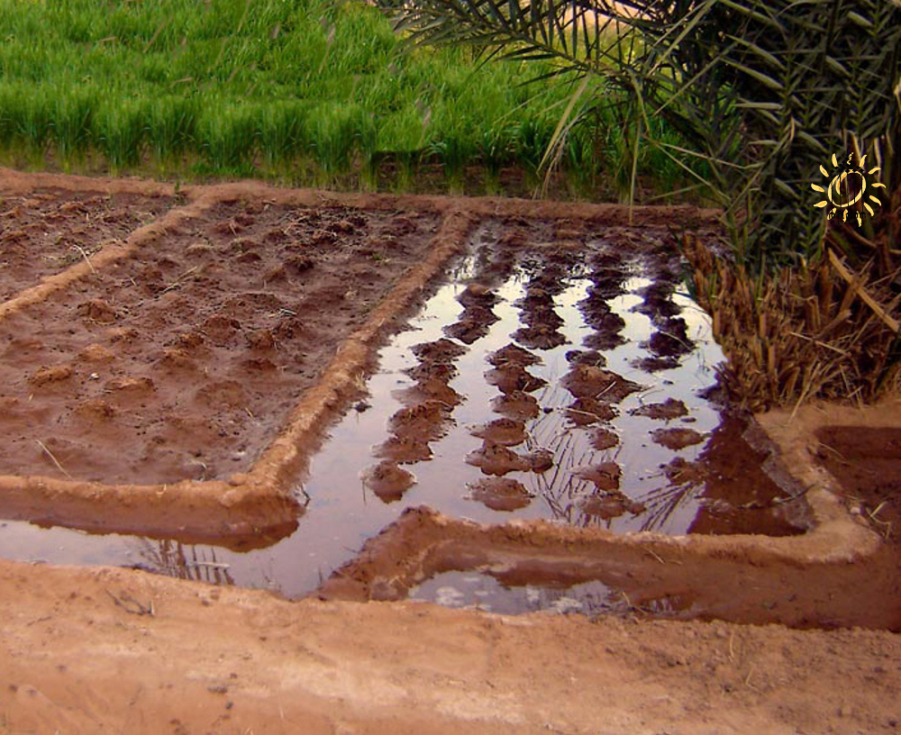 L'acqua raccolta nei bacini di stoccaggio viene utilizzata dall'agricoltore per l'irrigazione delle singole parcelle di terreno