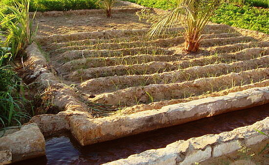 L'acqua raccolta nei bacini di stoccaggio viene utilizzata per l'irrigazione delle singole particelle di terreno