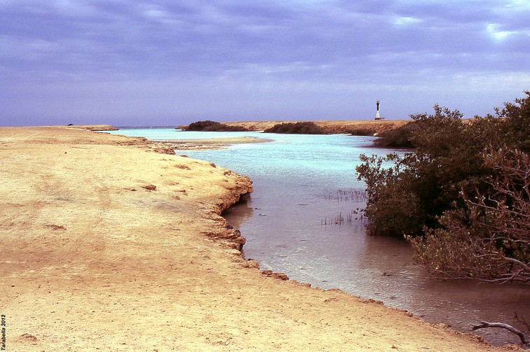 Oasi marina (Mar Rosso)