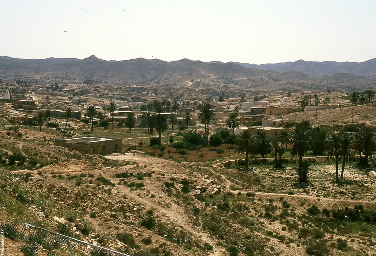 Oasi marina di Gabes (Tunisia)