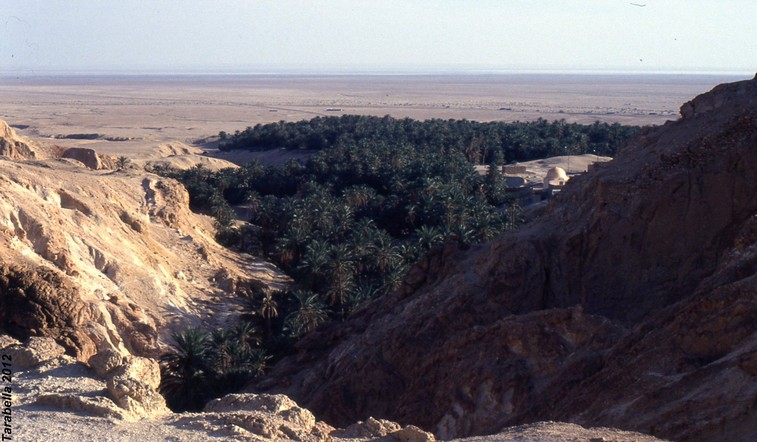 Oued oasi di montagna