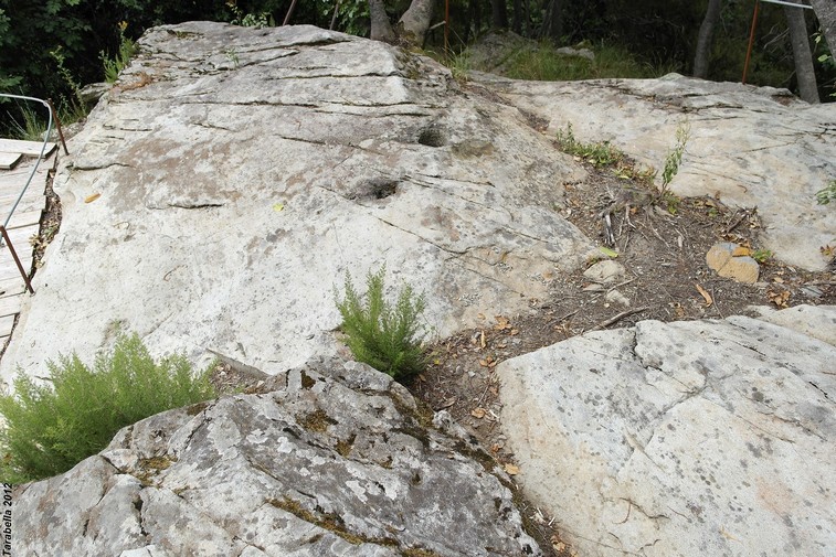 Sito di Trogna