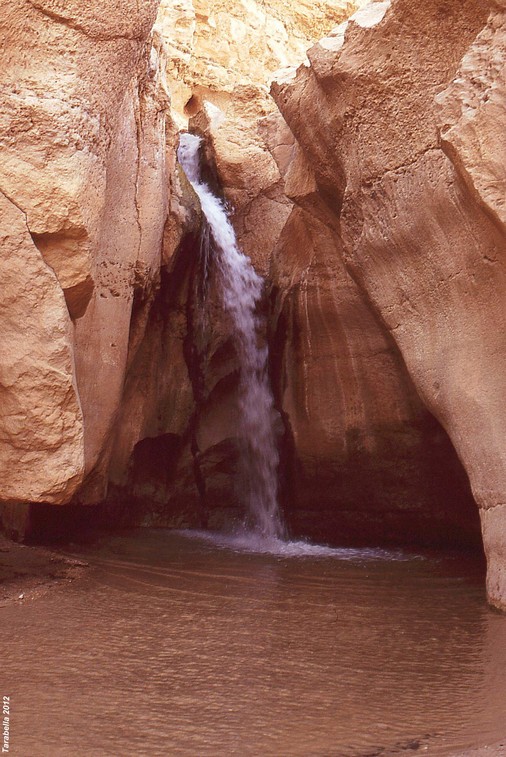 Una delle sorgenti di Tamerza (Tunisia)