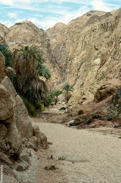 Wadi strada per Nuweiba'a