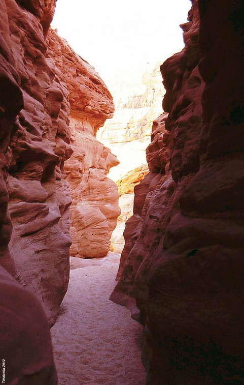 Wadi Watir Canyon