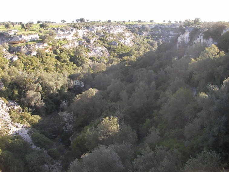 Gravina di Riggio (TA)