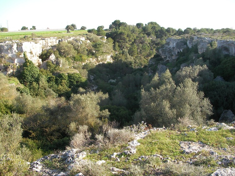 Gravina di Fantiano (TA)