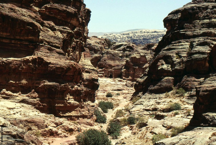 Petra (Giordania)