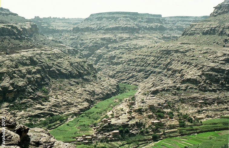 Wadi Gazwa 