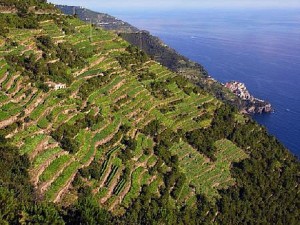 4 terrazze Cinque Terre