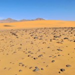 Algeria dune