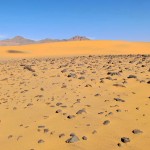 Algeria dune