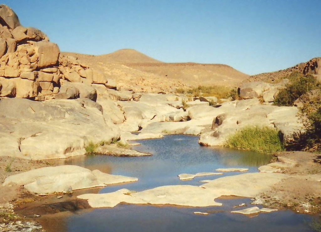 Le ghelte sono serbatoi naturali di acqua piovana rari nell'assolato deserto.