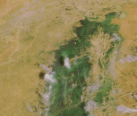 Mali - Il delta del fiume Niger nel Sahara, mostra il ciclico alternarsi di alluvioni a fasi aride