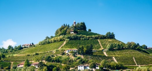 Santo Stefano Belbo (Langhe)
