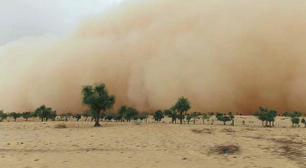 L'effetto della desertificazione nel Sahel. La mancanza d'acqua inibisce la vegetazione e la coesione dei terreni.Il suolo asciutto, non più protetto si disintegra e va ad alimentare le tempeste di sabbia.