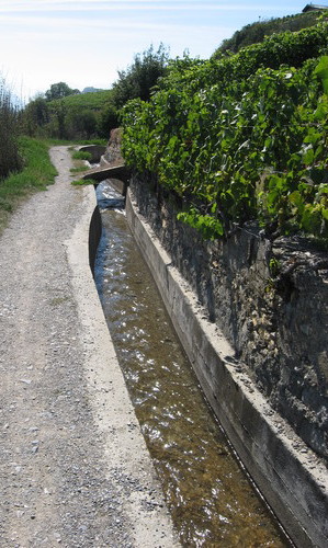 Le bisse (Sion)